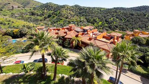 A residential area with terracotta-roofed houses, a swimming pool, and palm trees.