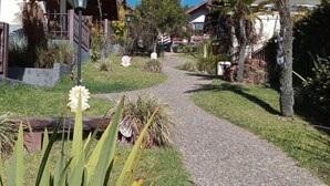 Une rue résidentielle bordée de maisons, avec un chemin de gravier et une variété de plantes et d’arbres.