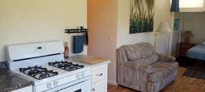 Interior - Quaint pet friendly studio with AC and WiFi on a 20 acre parcel in Upper Lake (Upper Lake)