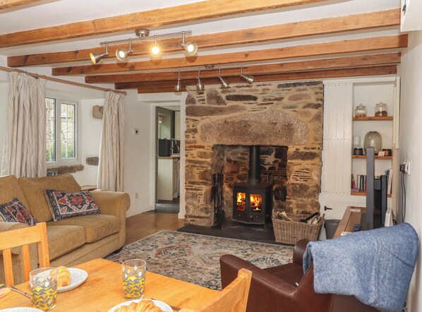 Living area - Back Cottage (Yelverton)