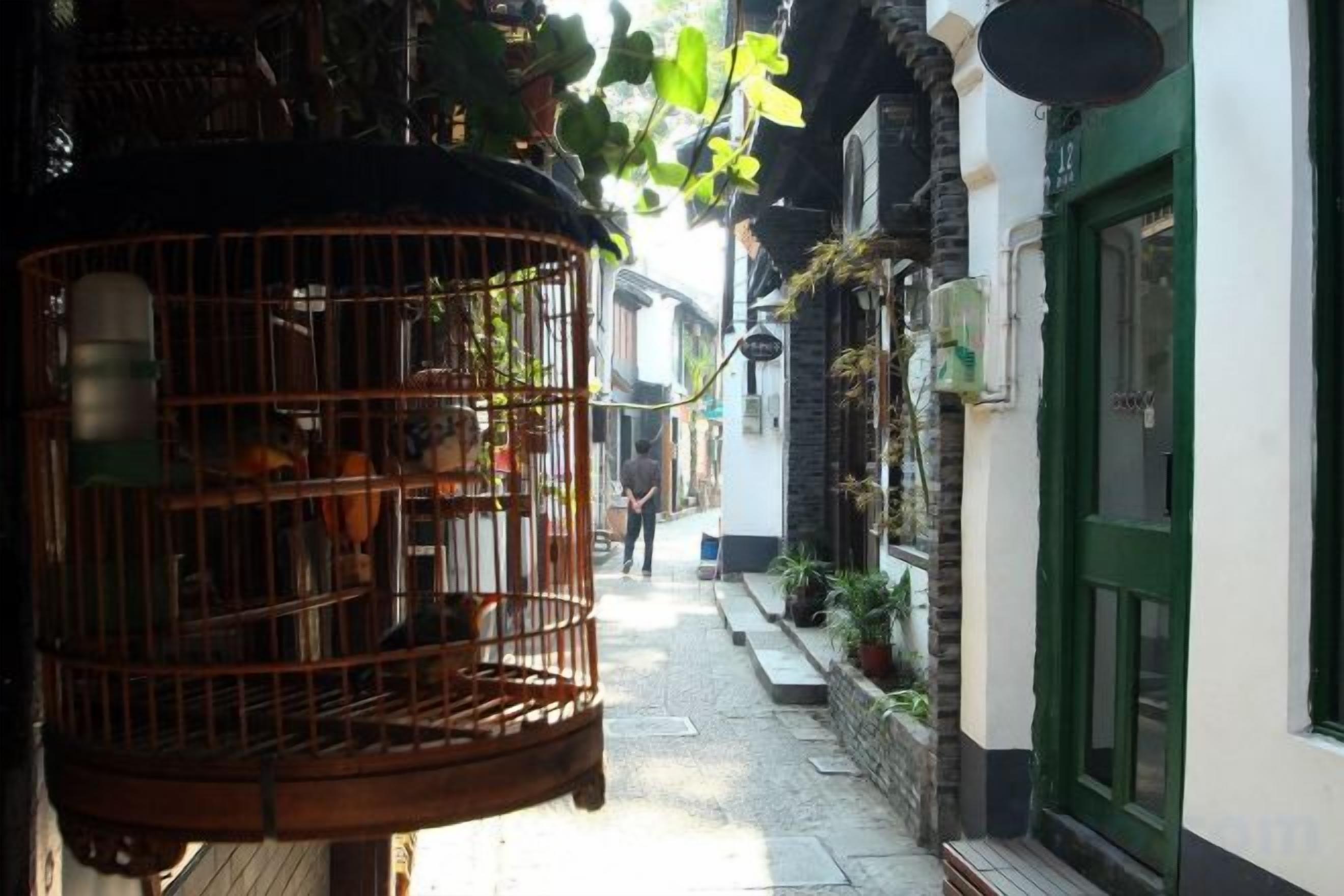 A narrow street with a birdcage hanging on the left, a green door on the right, and potted plants along the path.