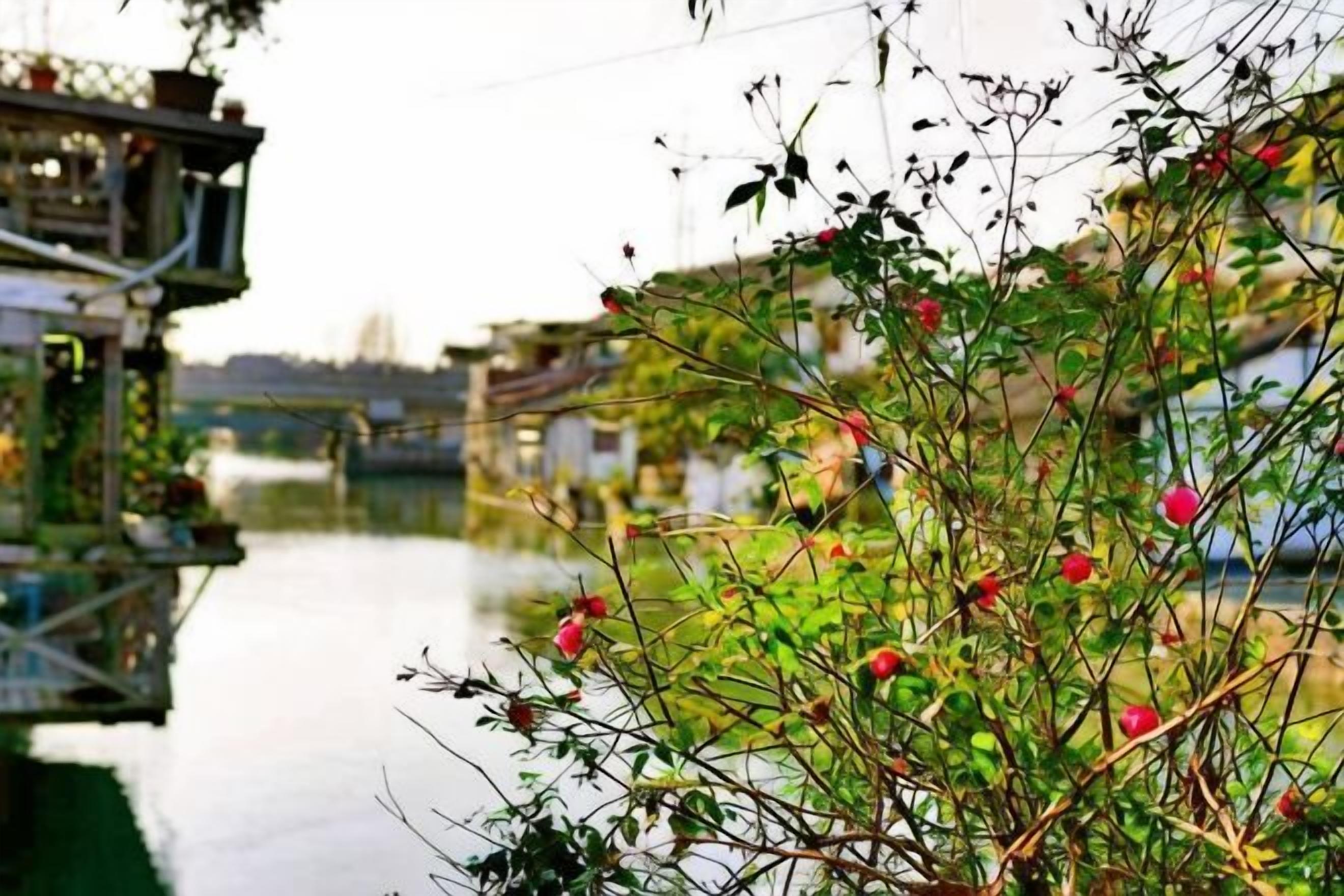 A river with buildings on the opposite bank, a bridge in the background, and a plant with red flowers in the foreground.