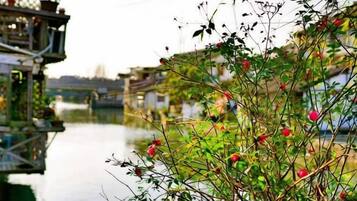 A river with buildings on the opposite bank, a bridge in the background, and a plant with red flowers in the foreground.