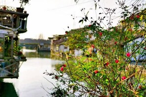A river with buildings on the opposite bank, a bridge in the background, and a plant with red flowers in the foreground. - Shanghai Jiaoli Xiaoyan Inn (Zhujiajiao Scenic Area Ancient Town) (Shanghai)
