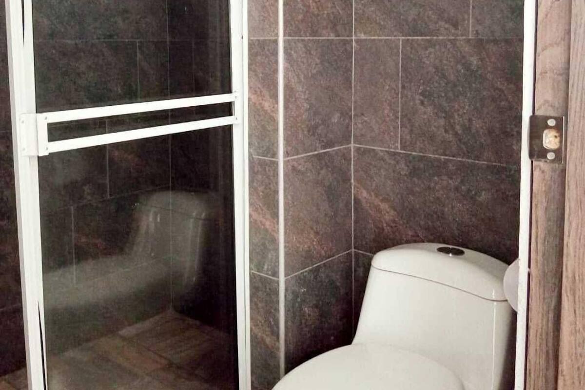 A bathroom with a glass-enclosed shower, a white toilet, and dark tiled walls.