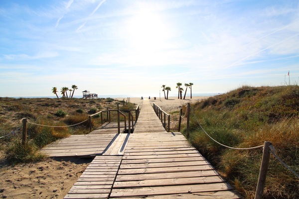 Beach