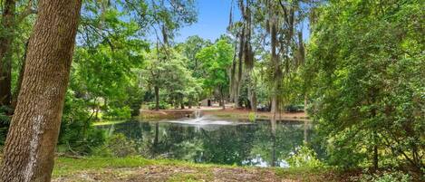 المنطقة المحيطة بالمنشأة