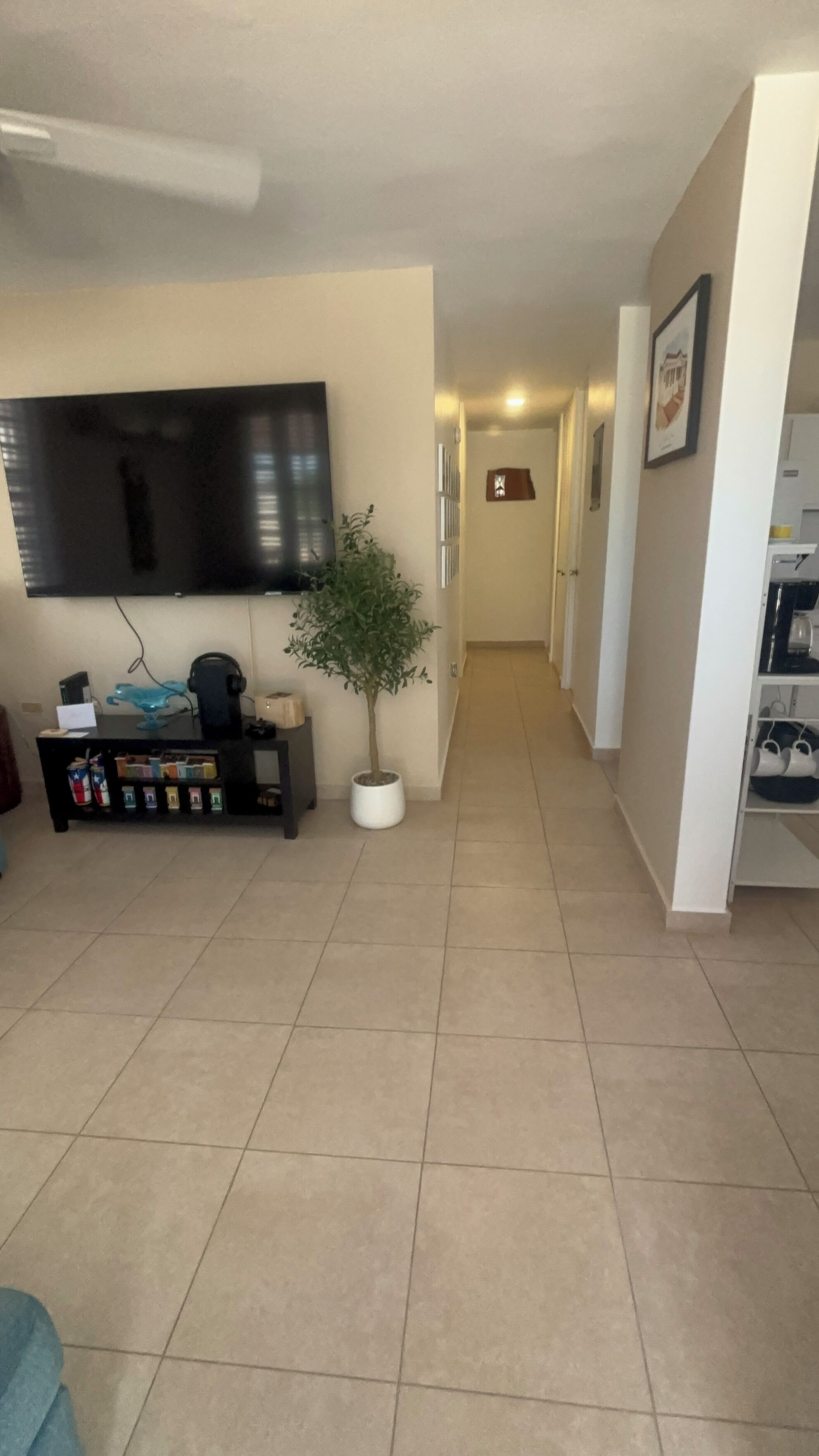 Una sala de estar con un televisor de pantalla plana montado en la pared, una planta en maceta y una cafetera.