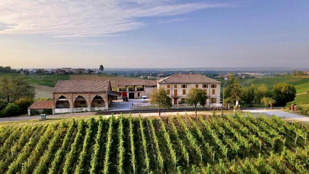 A vineyard with rows of grapevines and a building with a tiled roof. - PetFriendly Holiday Home Among the Vineyards (Bosnasco)