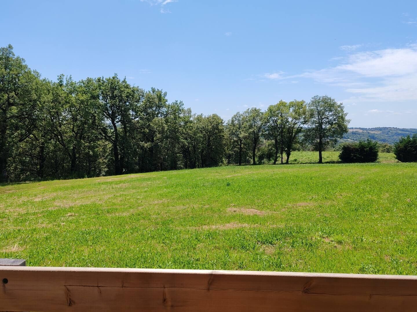 Un campo cubierto de hierba con árboles y un cielo despejado.