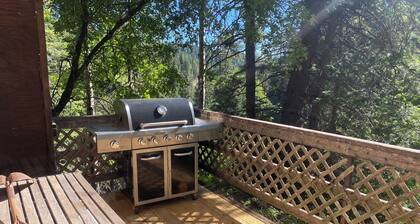 Elk Trail Lookout- Tranquil cabin with WiFi- 2 bedrooms available