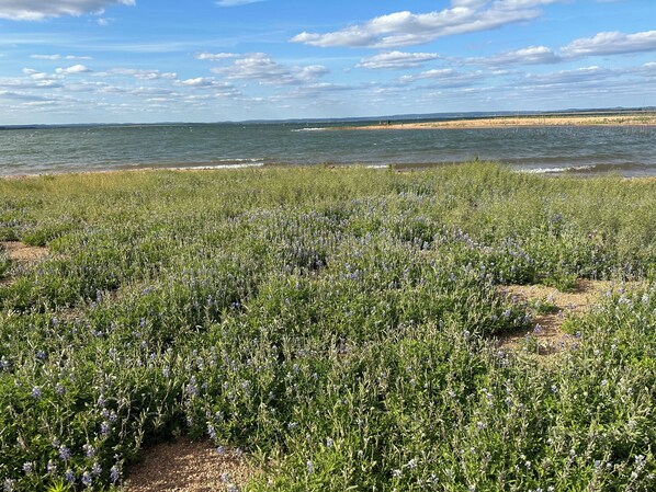 Beach - Charming 2-bedroom bungalow, near fabulous wineries, 25 mins from Marrble Falls (Buchanan Dam)