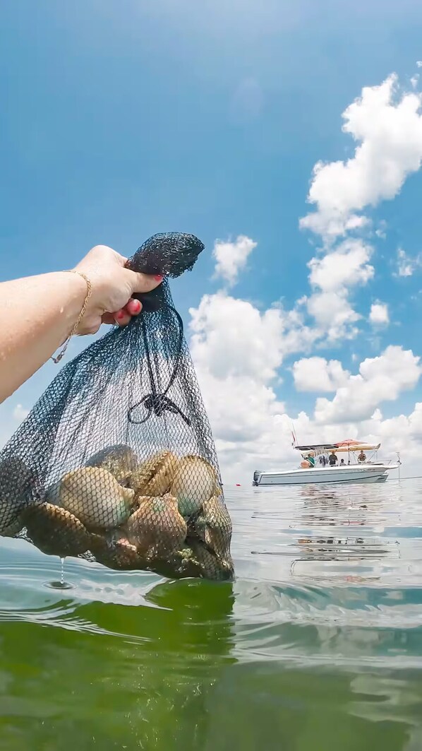 A hand holding a net filled with fish over water, with a boat in the background.