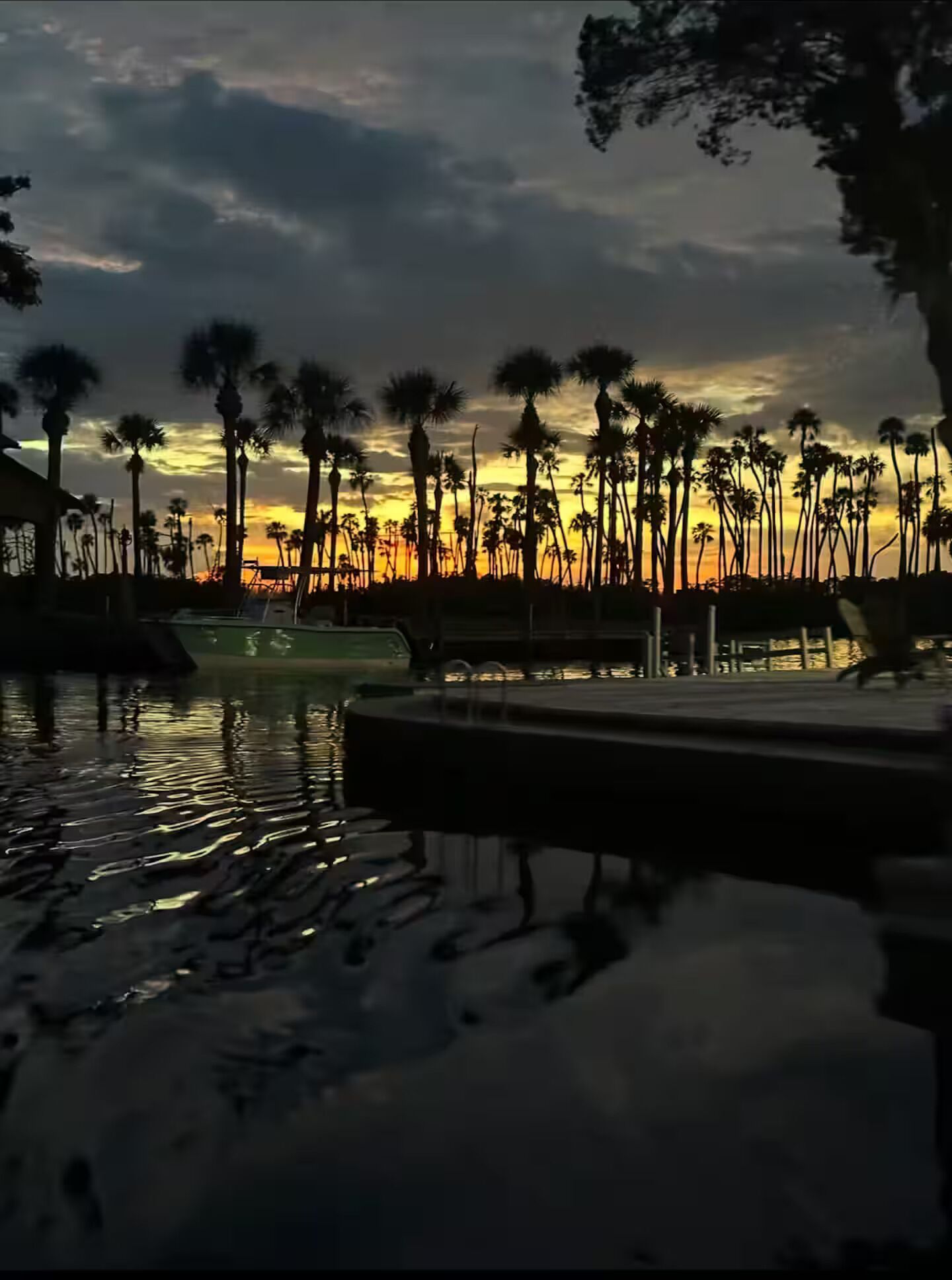 A sunset view with palm trees and a pool.