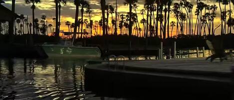 A sunset view with palm trees and a pool.