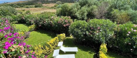 Overnattingsstedets uteområder