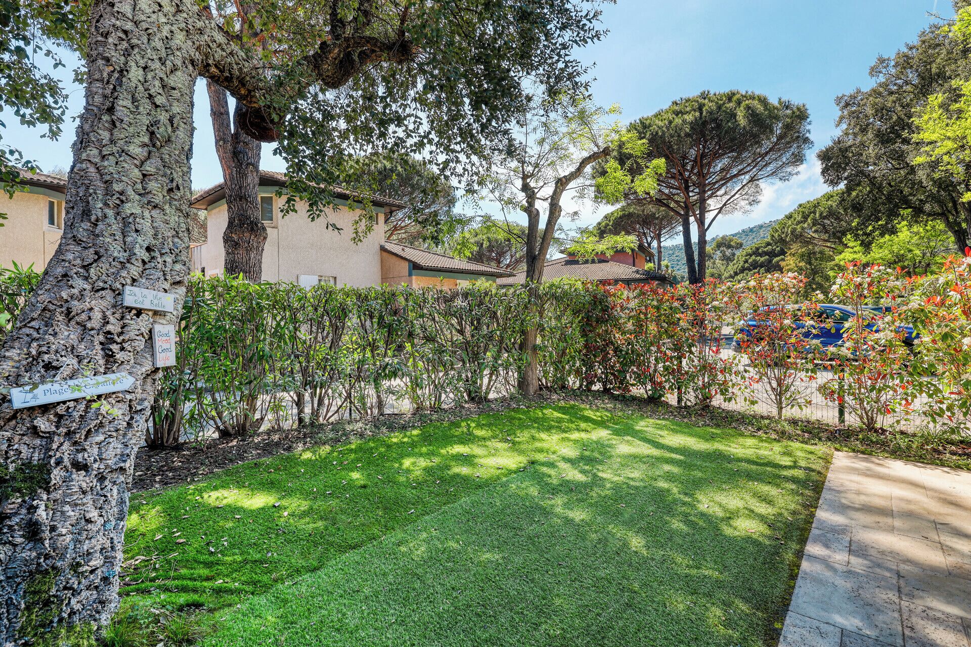 A well-maintained garden with a lawn, hedges, and trees.