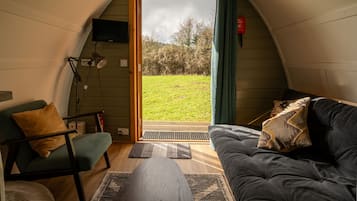 Televisio, DVD-soitin