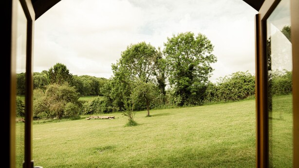 Vue depuis l’intérieur d’une pièce, donnant sur un champ verdoyant avec des arbres et une clôture.