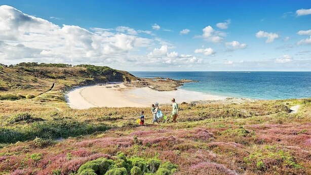 Ett kustlandskap med en sandstrand, gräsbevuxen mark och en klarblå himmel.