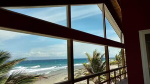 A view from a window overlooking a beach with palm trees and the ocean. - The Whole Hibiscus - Pool & Ocean Front! (Utila)