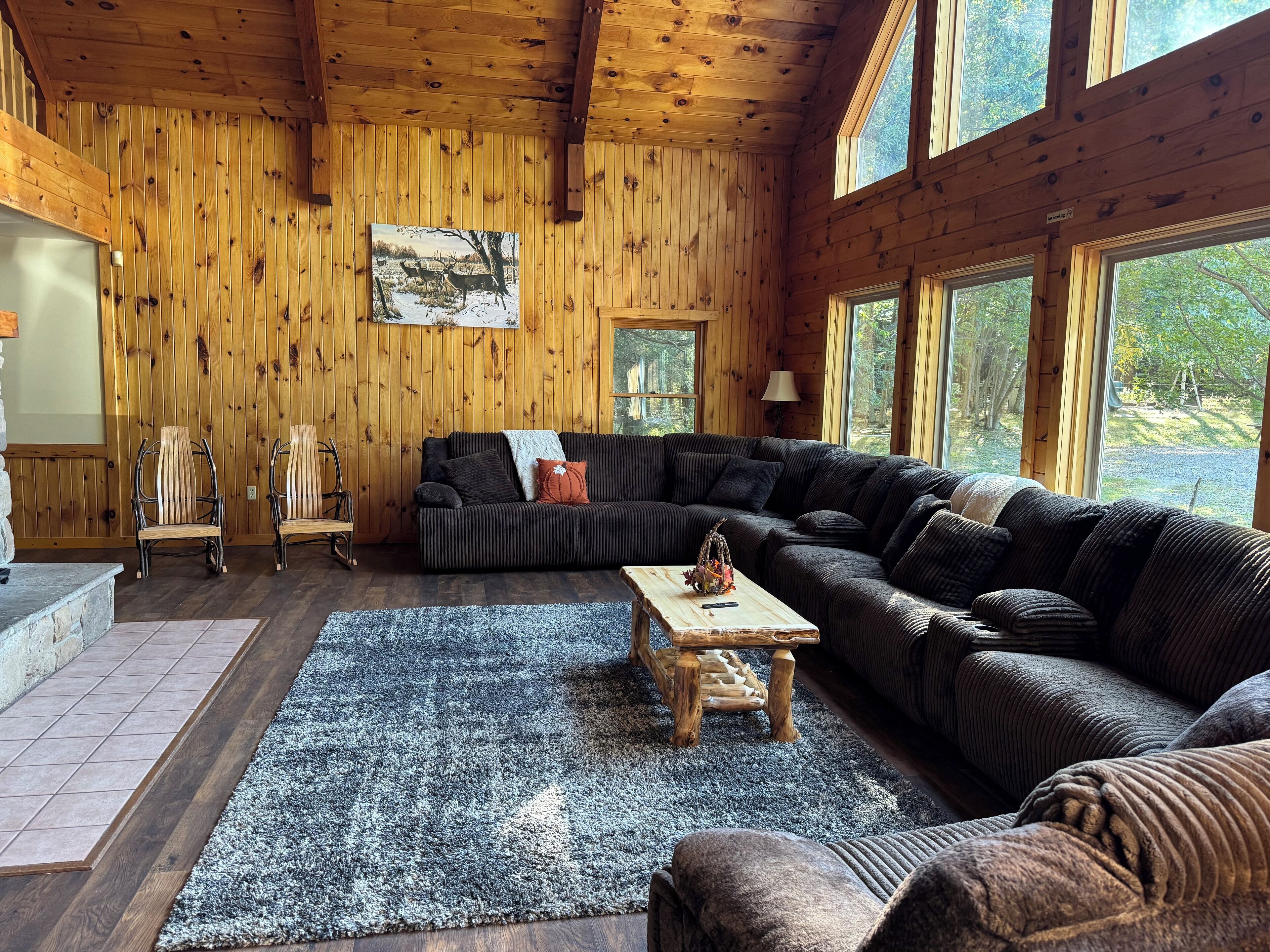 Télévision, cheminée, table de tennis de table