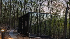Une cabane moderne en verre, nichée au cœur d’une forêt, avec un sentier de pierres menant à l’entrée.