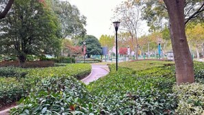 A pathway through a park with trees and a lamp post. - Hotel Apartment (Shanghai National Convention and Exhibition Center Jiangqiao Old Street Branch) (Shanghai)
