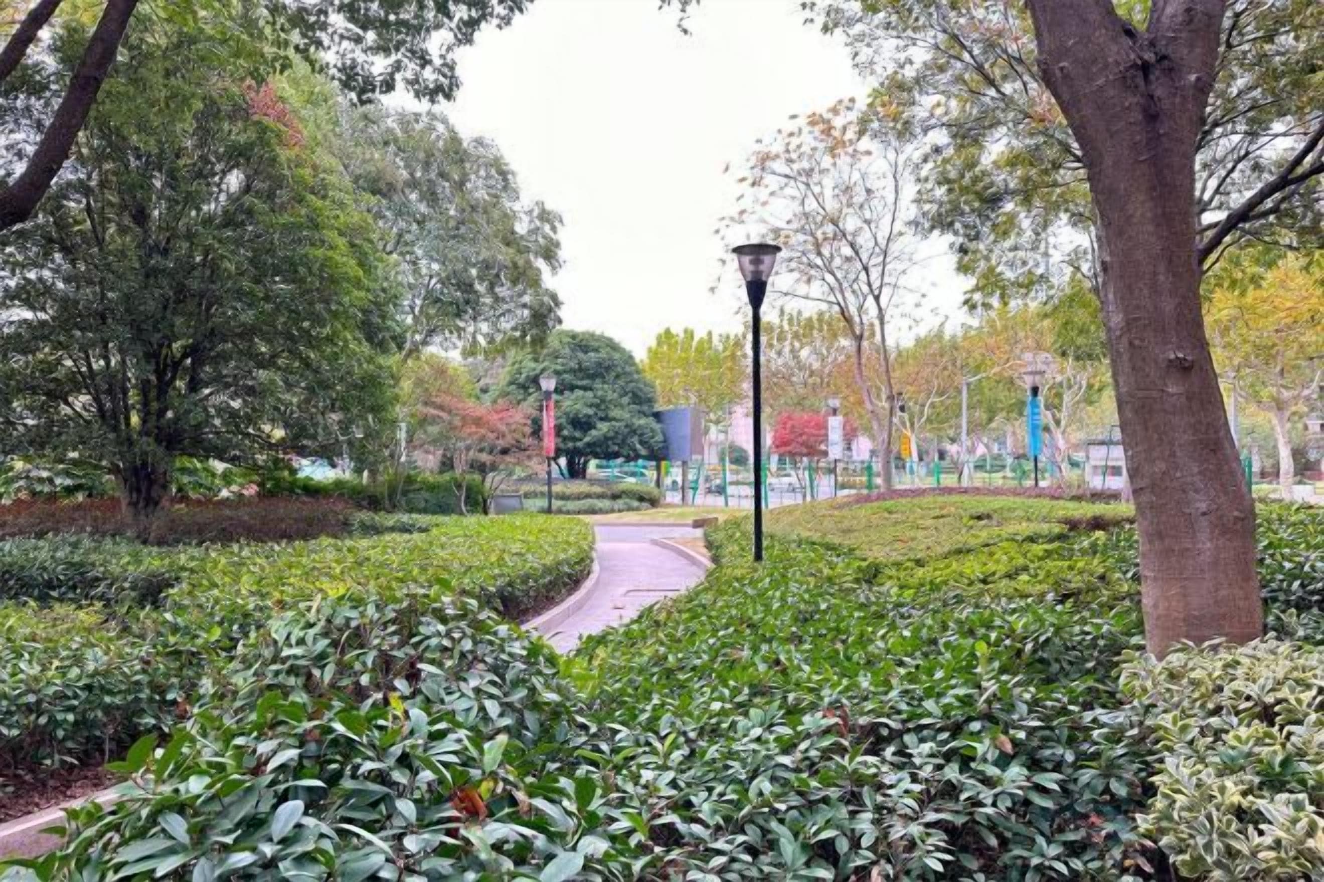 A park pathway with trees and a lamp post.