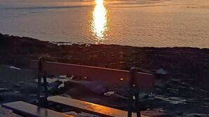 Un banco junto a la orilla al atardecer.