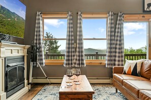 Smart TV, fireplace, books