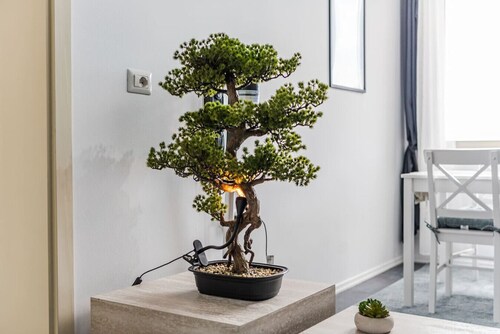 Modern 1BR with Scenic Views & Earthy Vibes by PikHost