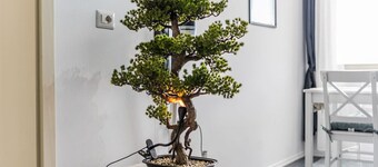 Modern 1BR with Scenic Views & Earthy Vibes by PikHost