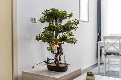 Modern 1BR with Scenic Views & Earthy Vibes by PikHost