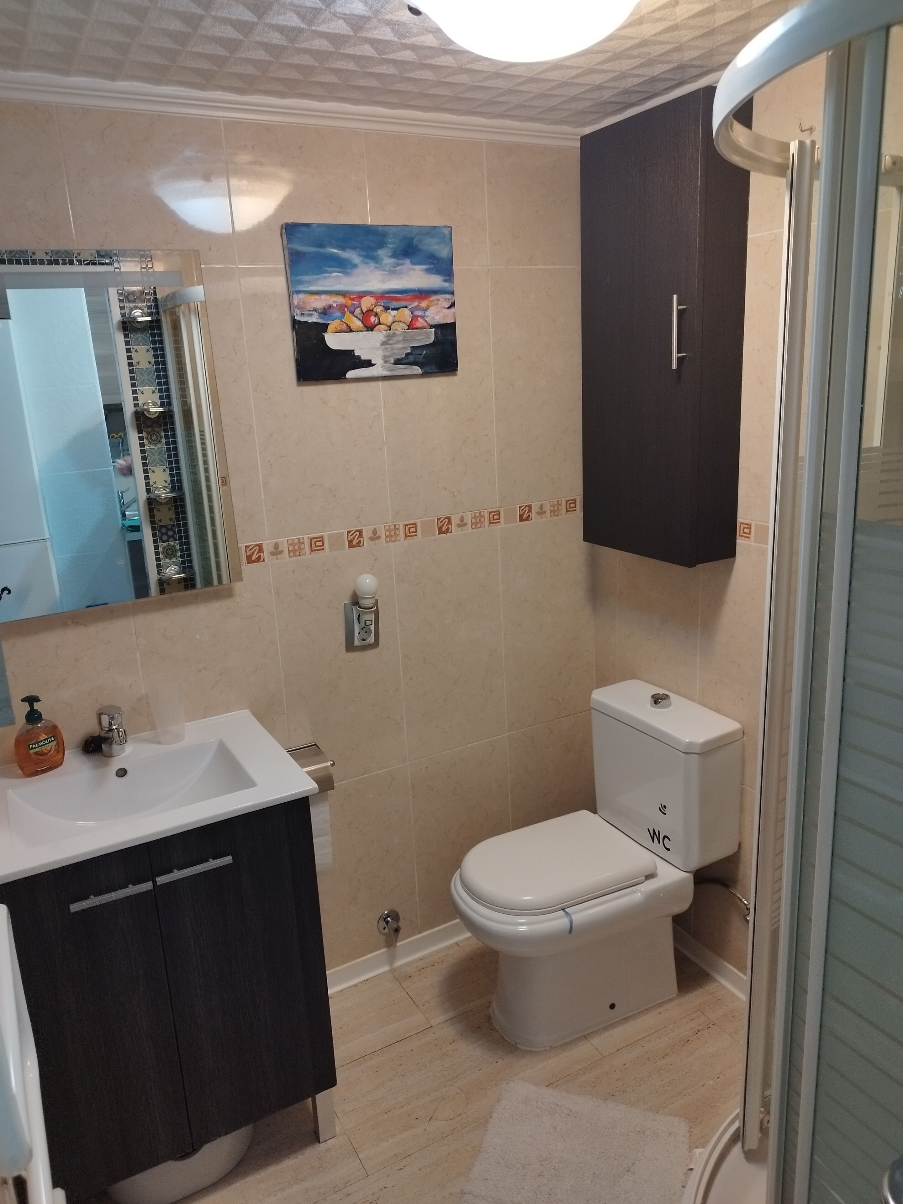 A bathroom with a sink, mirror, toilet, and shower.