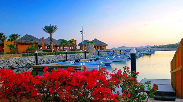 Marina