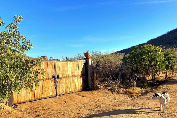 Property grounds