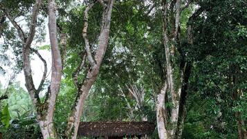A rustic hut with a thatched roof surrounded by dense foliage and trees.