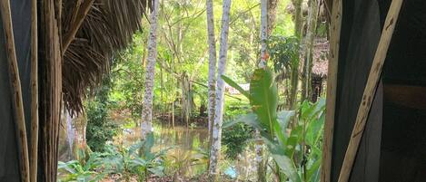 Traditional Cabin, Balcony, Garden View | 1 bedroom, free WiFi