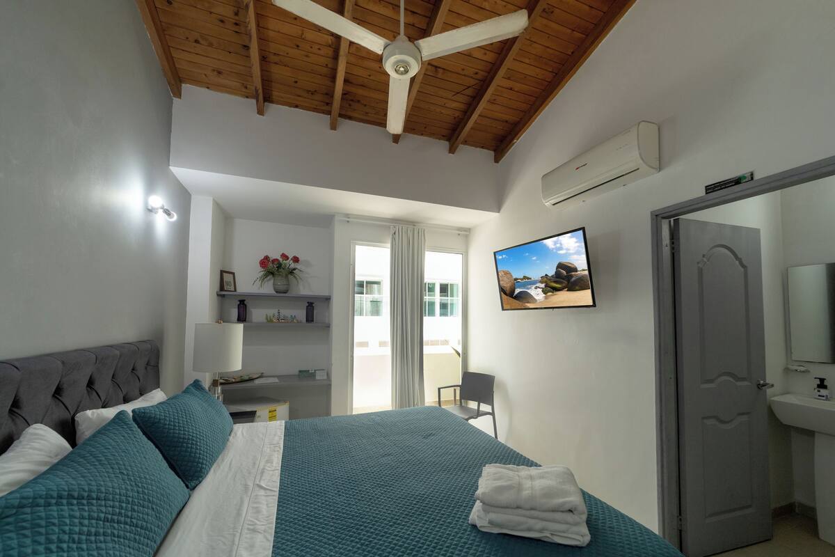 A bedroom with a bed, a ceiling fan, a TV, a bathroom with a sink, and a door.
