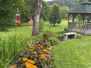 Terrain de l’hébergement 