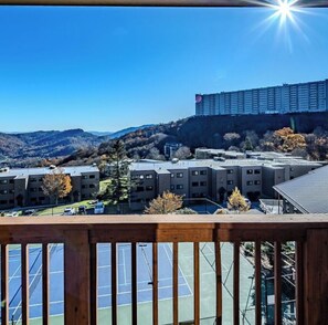 Property grounds - Sugar Ski in/out 1BR 1BA views/pool/sauna/hot tub (Sugar Mountain)