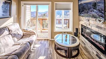 Smart TV, fireplace, books