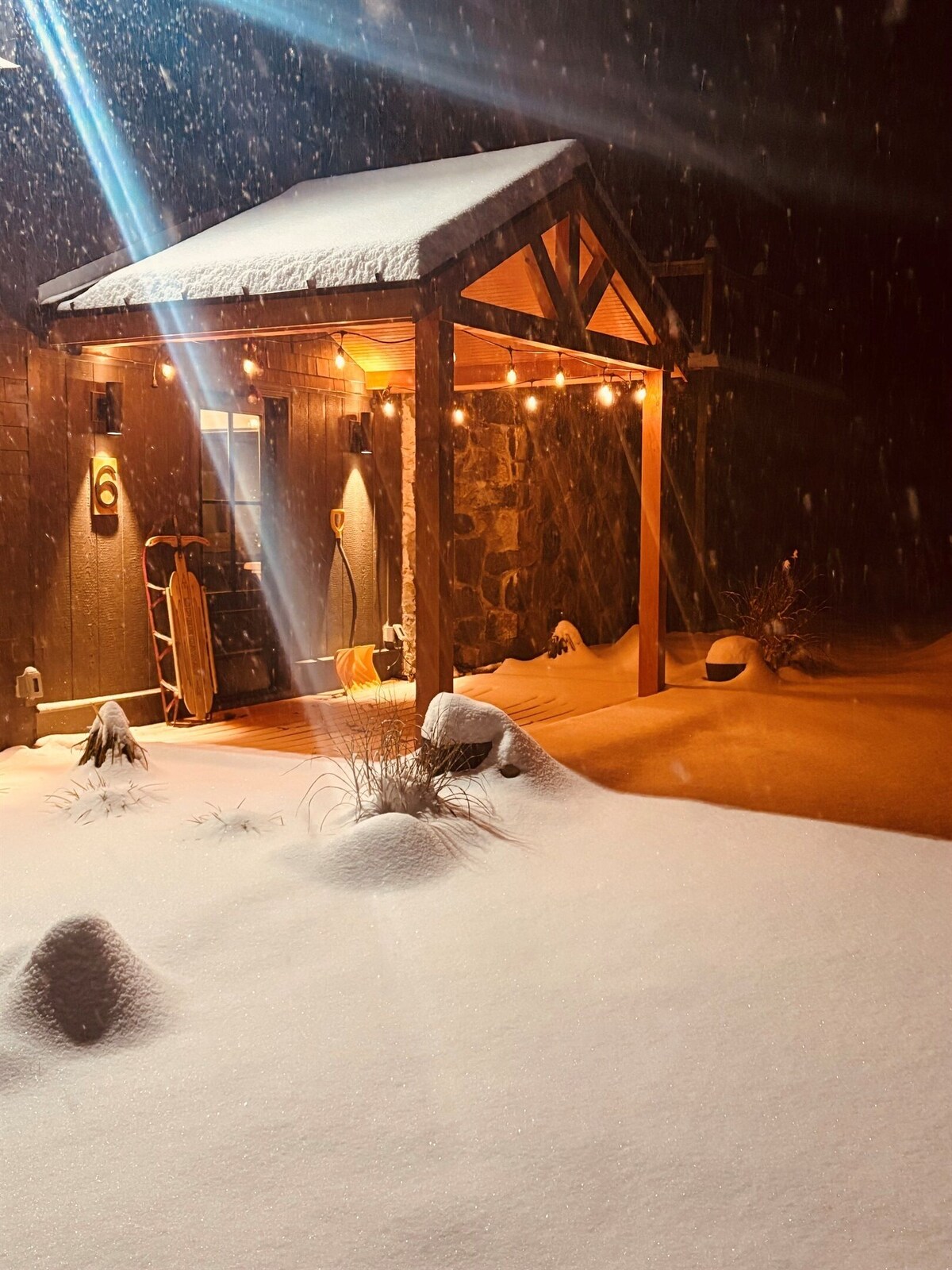 Imagen de perfil del propietario o de la propietaria