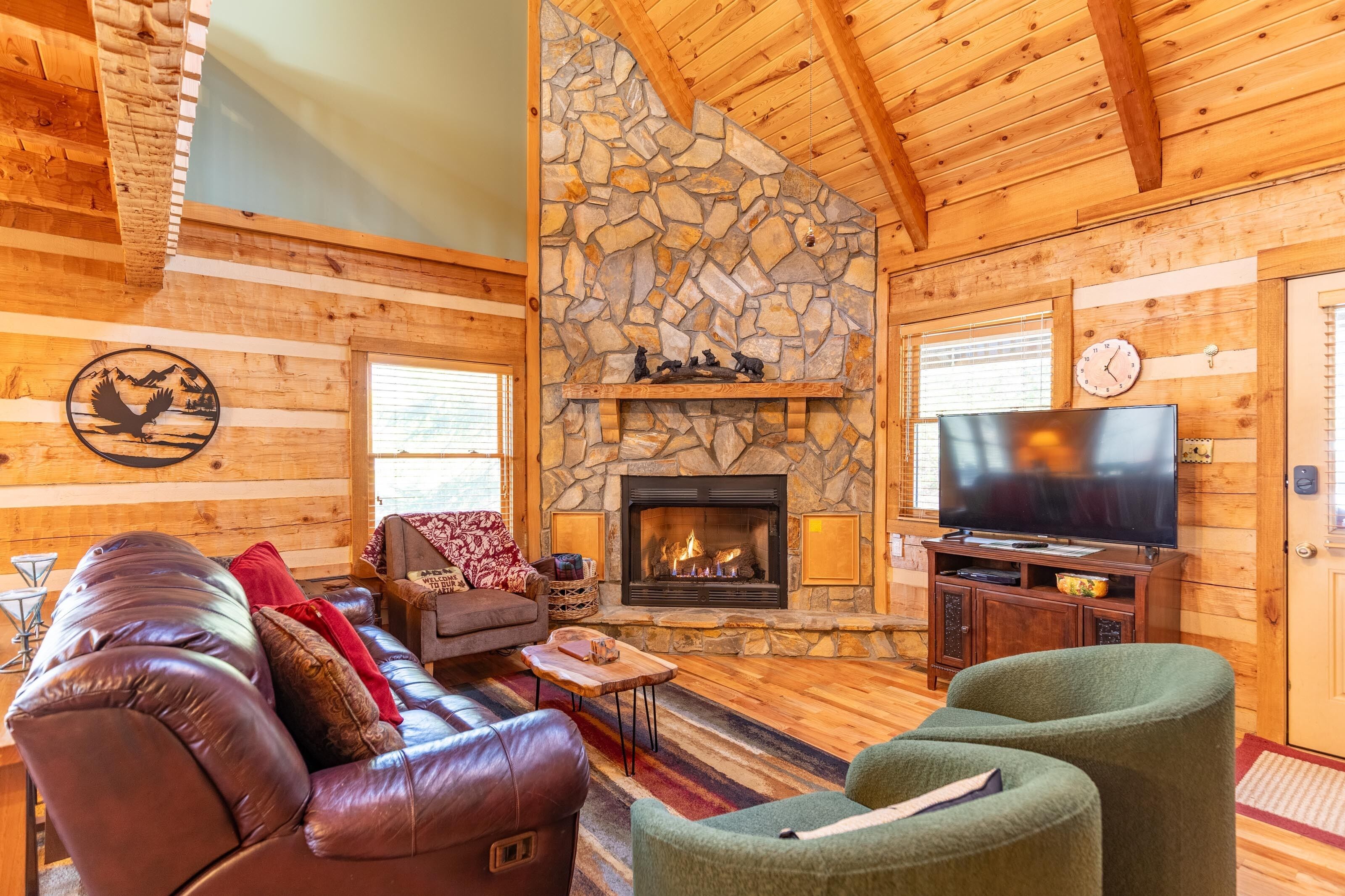 Televisión, chimenea, libros