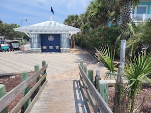 Property grounds - Cozy Vintage Artist Cottage. 5-minute walk to the beach, 
2BR / 1 BA. Pets OK, (North Myrtle Beach)