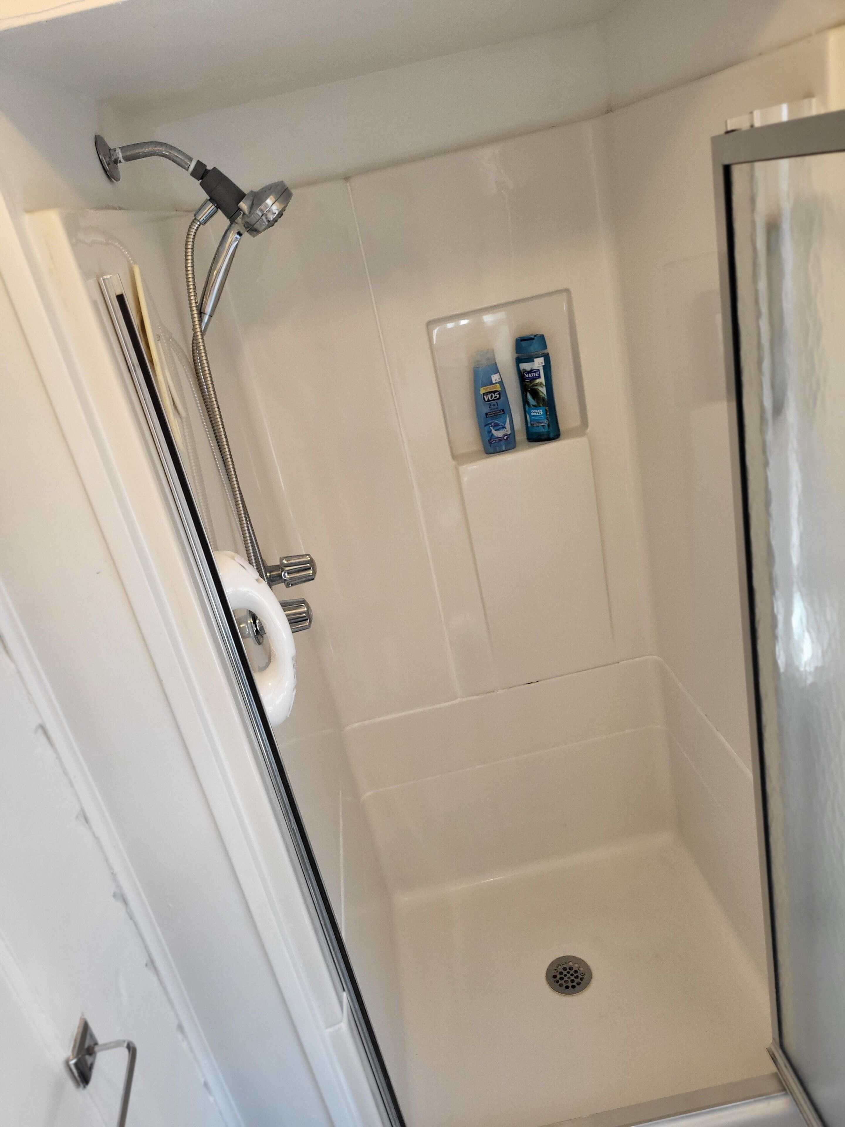 A shower with a glass door, a handheld showerhead, and two bottles of shampoo and conditioner on a shelf.