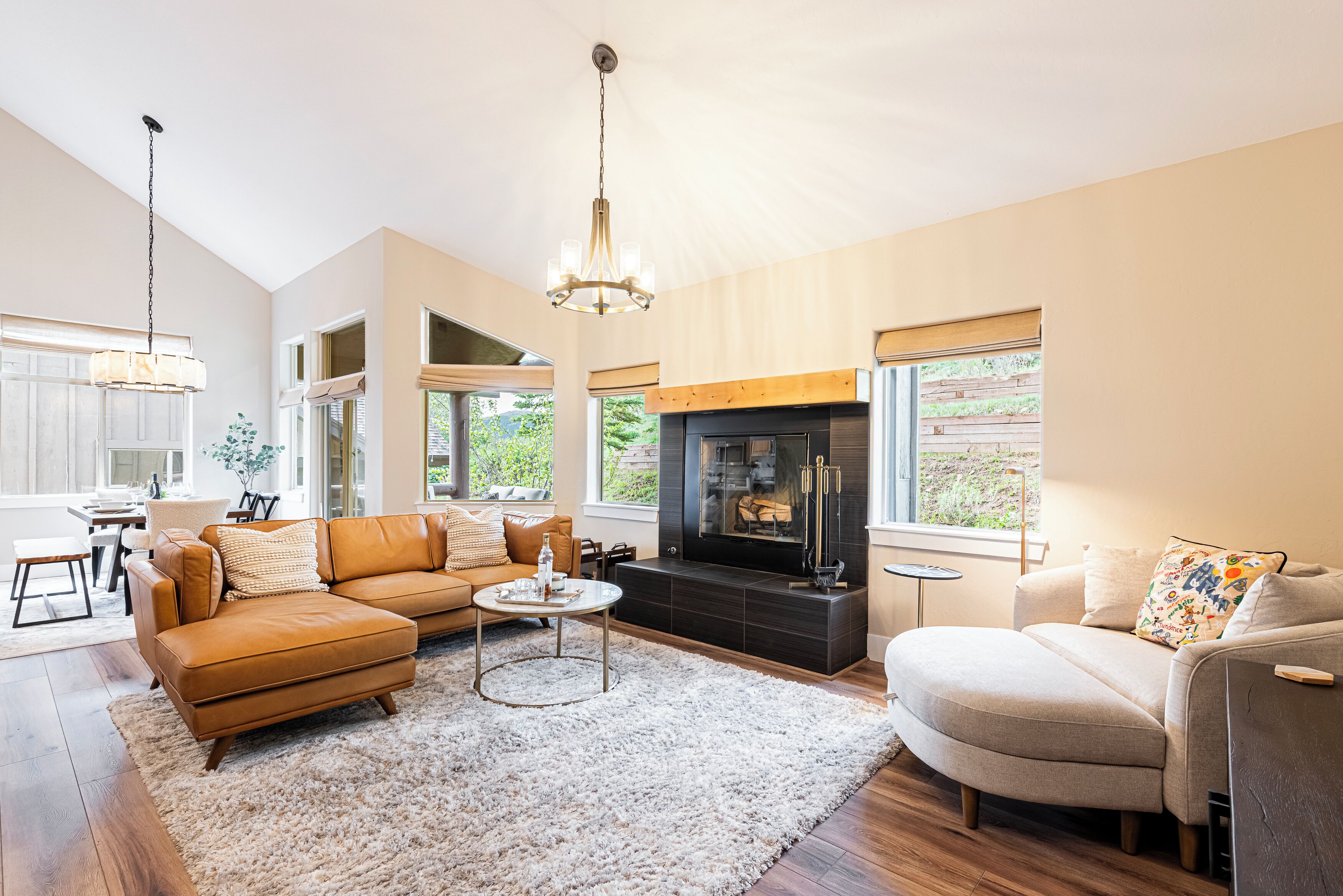 TV, fireplace, computer monitors