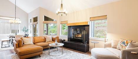 TV, fireplace, computer monitors