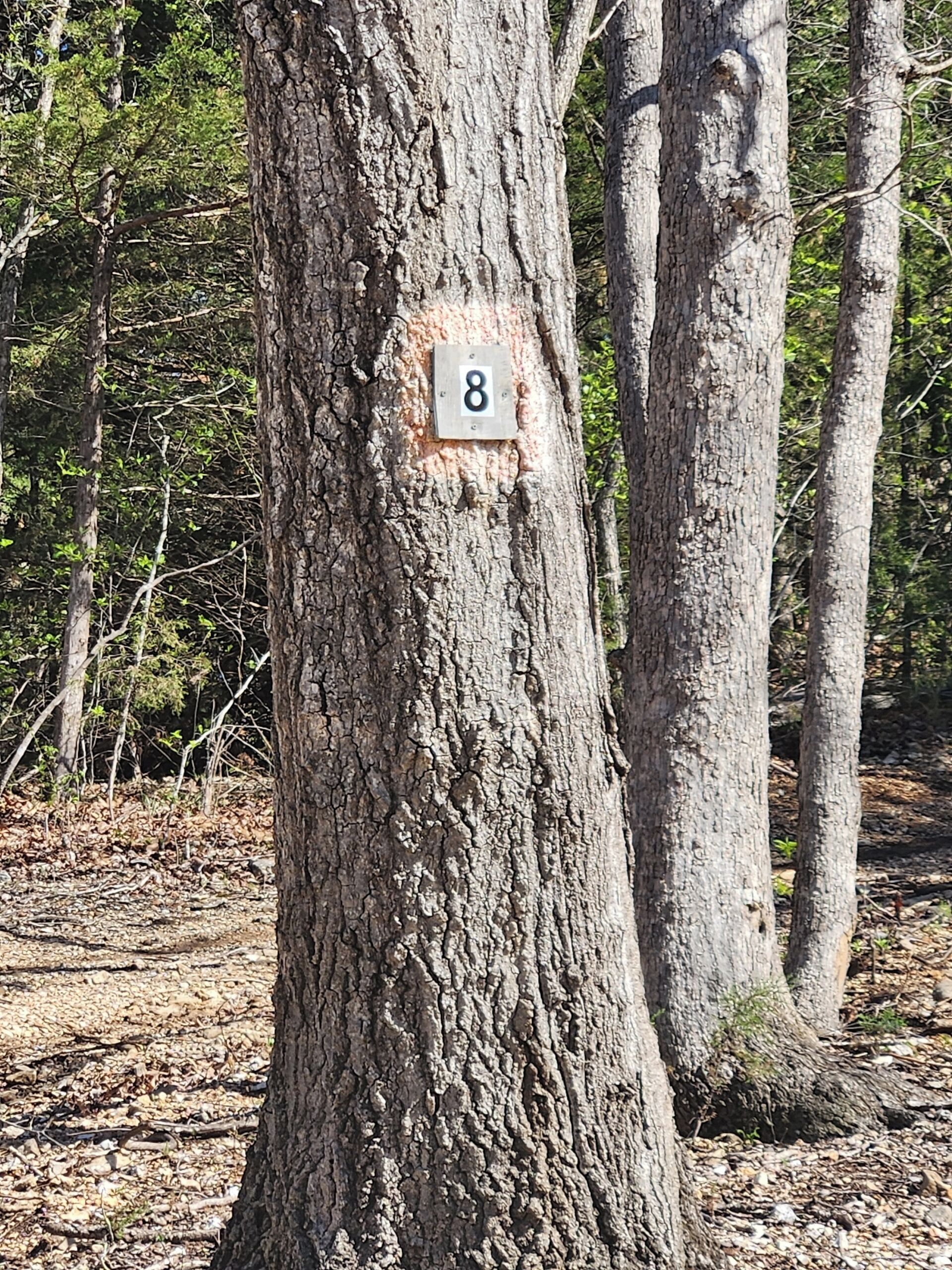 Detalhe da fachada